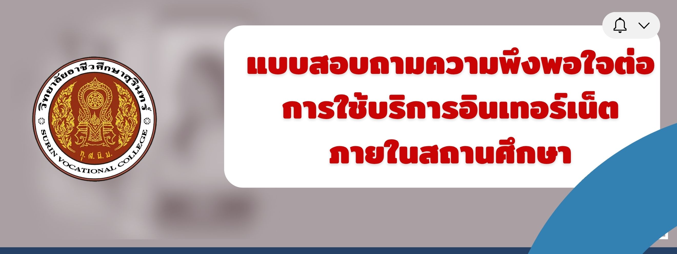 แบบสอบถามอินเทอร์เน็ต